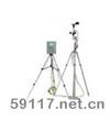 TH-2009A便携式监测仪