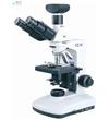 生物显微镜BK3000系列重光 生物显微镜BK3000系列