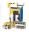 PLANTSAFE 6000气体检测仪
