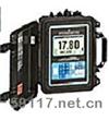 SITRANS FUP1010(便携式)超声波流量计