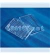 96孔细胞培养板