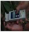 超迷你植物光合仪miniPM 1000