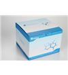 无内毒素质粒提取试剂盒 经典型PD1416-01