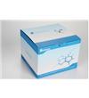 BW3301细胞凋亡试剂盒