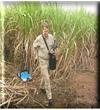 探地雷达土壤污染调查Grounddetection