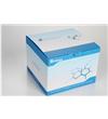 快速质粒大提试剂盒PD1568-01