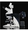 徕卡 DM5000B智能型生物显微镜