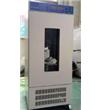SHR-500CL低温生化培养箱