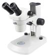 NS80/12^体视显微镜