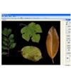 LA-S植物叶面图像分析系统