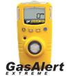 GAXT-G臭氧检测仪加拿大BW GAXT-G臭氧检测仪