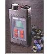 �ֳ�ʽһ����̼������ Elektron