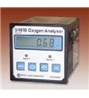 污氮或精氩中氧含量分析仪G1010