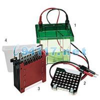 170-3930小型Trans-Blot转印槽Mini Trans-Blot Electrophoretic Transfer Cell