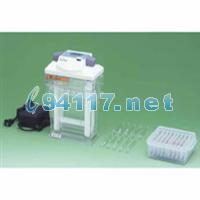 AE-6541 isc Gel EP Kit (discRun)垂直电泳槽