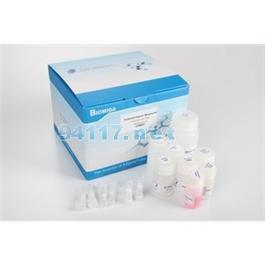 无内毒素质粒提取试剂盒 经典型PD1212-01