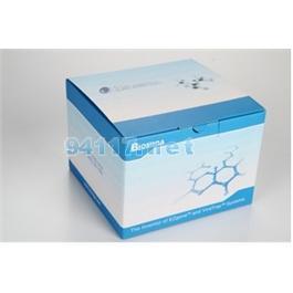 无内毒素质粒提取试剂盒 经典型PD1416-02