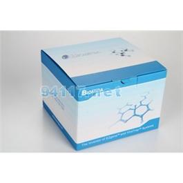 无内毒素质粒提取试剂盒 经典型PD1515-01