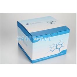 BW3301细胞凋亡试剂盒