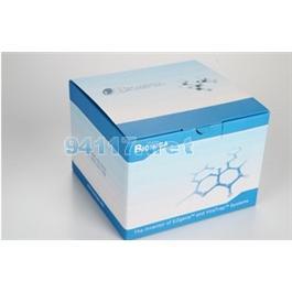 LIC1101-25BMG无缝克隆试剂盒