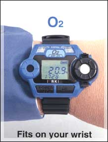氧气检测仪GW-2X